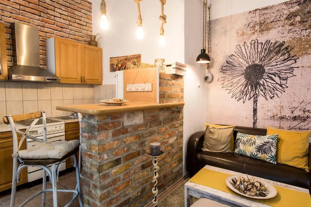 Vintage Style Flat In The Heart Of Buda ブダペスト ハンガリー